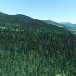 Waldverbesserung für den MSFS