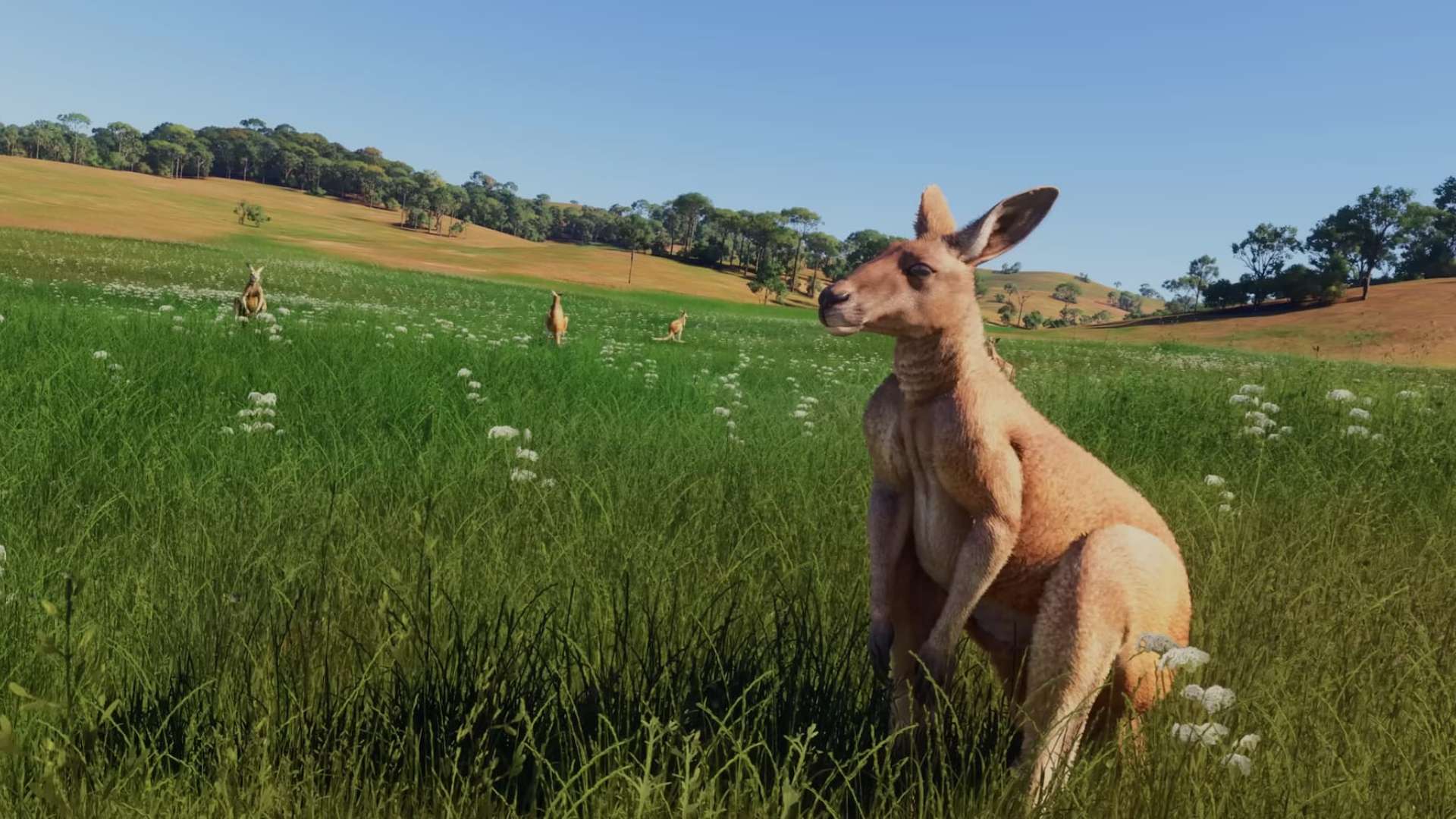 MSFS24-Animals-13 Der Microsoft Flight Simulator 2024 ist da