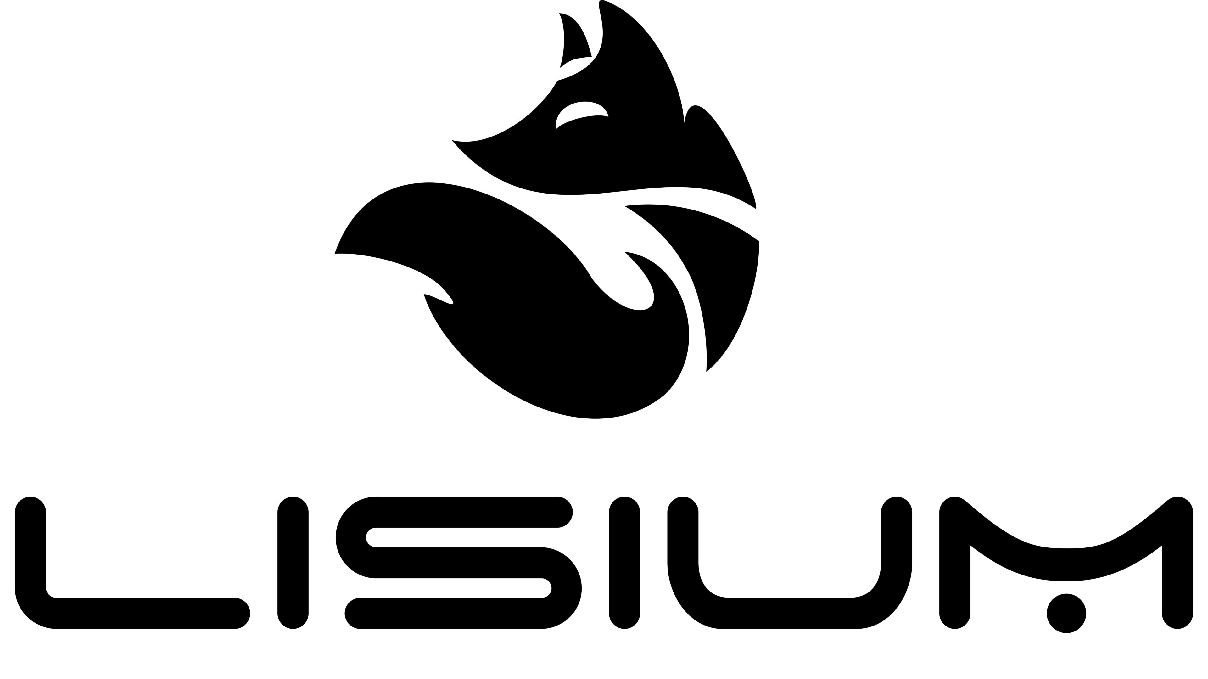 LISIUM_LOGO_Black-3840x2158 Gut komponiert: EYVI Vilnius International Airport