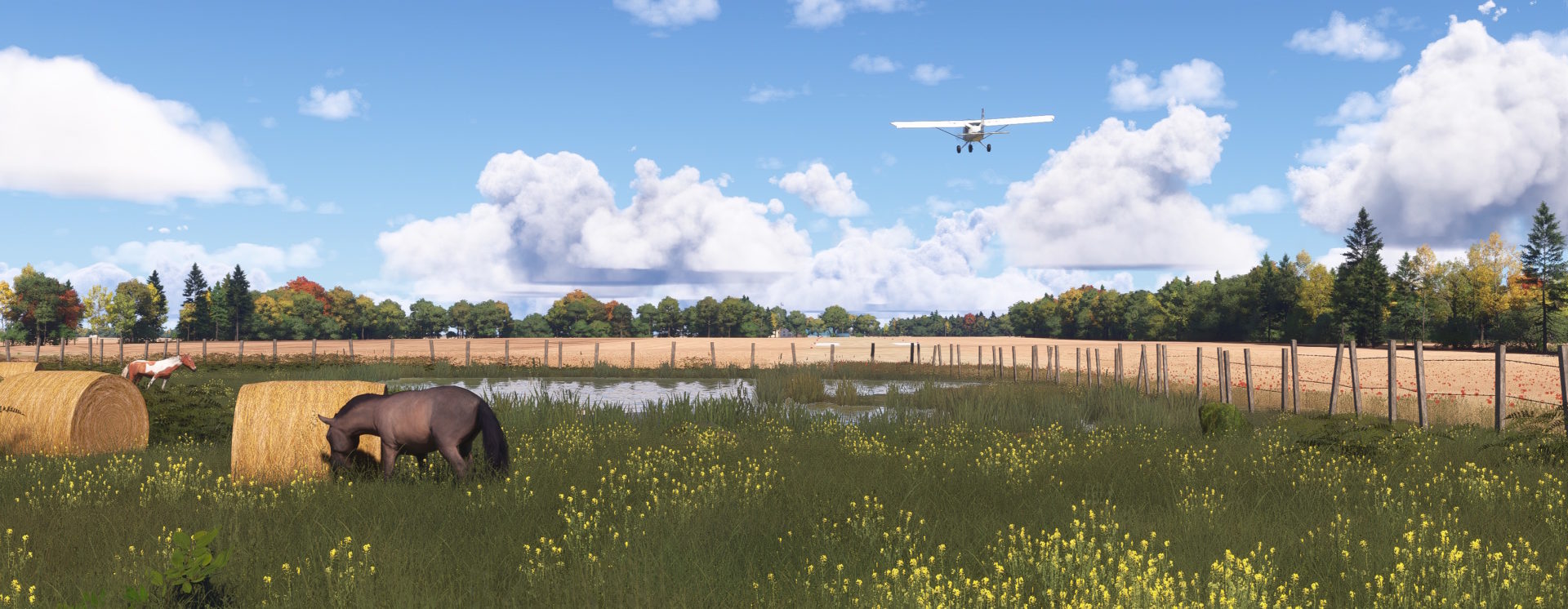 Mcknight_3-1920x746 Got Friends: Aeroprakt A32 im Pilotentraining im Einsatz